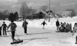 Thumbnail bb202.jpg 