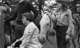 Thumbnail bb293.jpg 