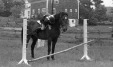 Thumbnail bb383.jpg 
