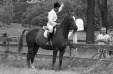 Thumbnail bb384.jpg 