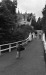 Thumbnail bb366.jpg 