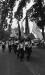 Thumbnail bb328.jpg 