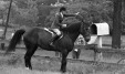 Thumbnail bb382.jpg 