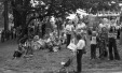 Thumbnail bb386.jpg 