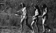 Thumbnail bb425.jpg 