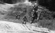 Thumbnail bb463.jpg 