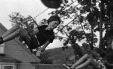 Thumbnail bb528.jpg 