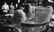 Thumbnail bb537.jpg 
