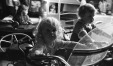 Thumbnail bb538.jpg 