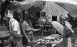 Thumbnail bb692.jpg 