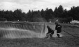 Thumbnail bb456.jpg 