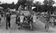 Thumbnail bb489.jpg 