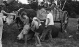 Thumbnail bb492.jpg 