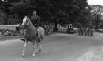 Thumbnail bb513.jpg 