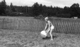 Thumbnail bb545.jpg 