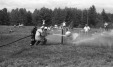 Thumbnail bb546.jpg 