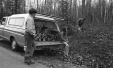 Thumbnail bb107.jpg 