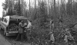 Thumbnail bb111.jpg 