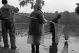 Thumbnail bb424.jpg 
