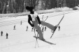 Thumbnail bb450.jpg 
