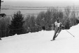 Thumbnail bb459.jpg 