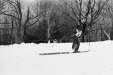 Thumbnail bb461.jpg 