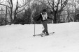 Thumbnail bb464.jpg 