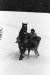 Thumbnail bb578.jpg 