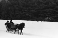 Thumbnail bb582.jpg 