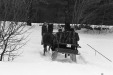 Thumbnail bb589.jpg 