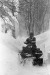 Thumbnail bb487.jpg 