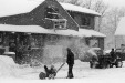 Thumbnail bb505.jpg 