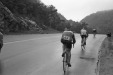 Thumbnail bb904.jpg 