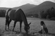 Thumbnail bb934.jpg 