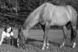 Thumbnail bb944.jpg 