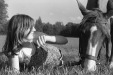 Thumbnail bb945.jpg 