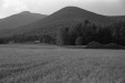 Thumbnail bb947.jpg 
