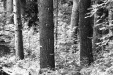 Thumbnail bb873.jpg 