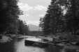 Thumbnail bb918.jpg 
