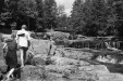 Thumbnail bb921.jpg 