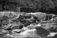 Thumbnail bb929.jpg 