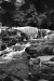 Thumbnail bb931.jpg 