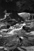 Thumbnail bb932.jpg 