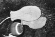 Thumbnail bb1533.jpg 