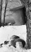 Thumbnail bb1288.jpg 