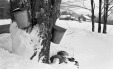 Thumbnail bb1319.jpg 