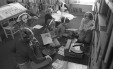 Thumbnail bb1295.jpg 