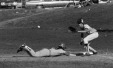 Thumbnail bb1980.jpg 