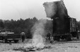 Thumbnail bb1983.jpg 