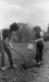 Thumbnail bb1950.jpg 